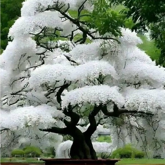 Meet your Posher, Cathy - Picture 3 of 15